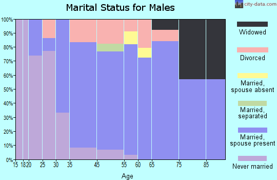 Shaver Lake marital status for males