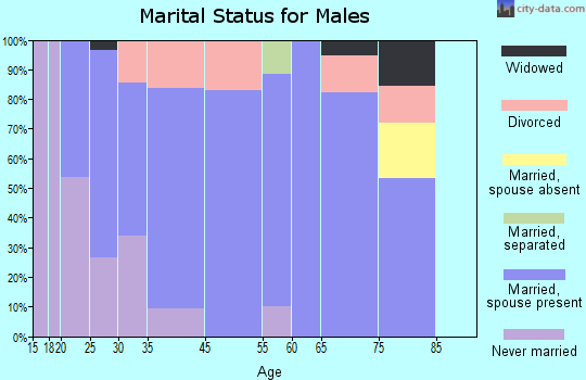Shingle Springs marital status for males