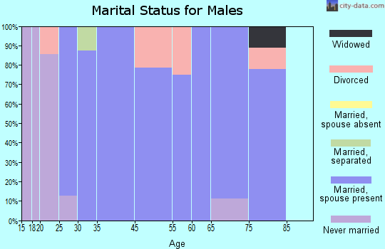 Meeteetse marital status for males