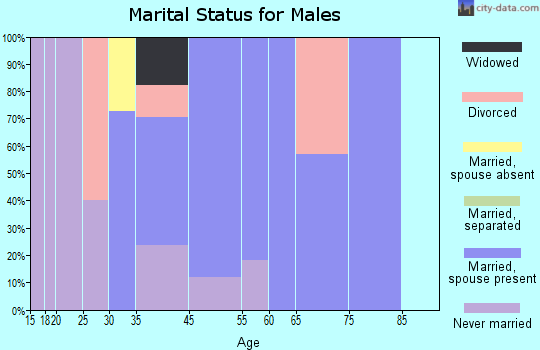 Rock River marital status for males