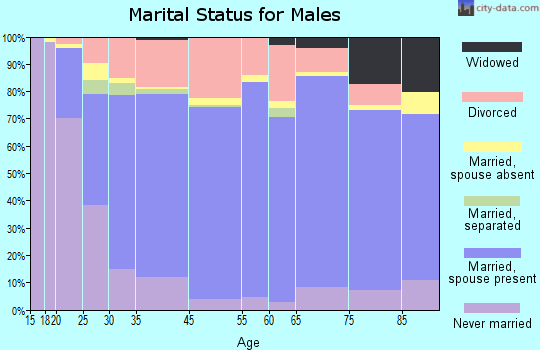 Rock Springs marital status for males