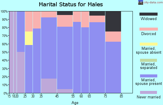 Shoshoni marital status for males