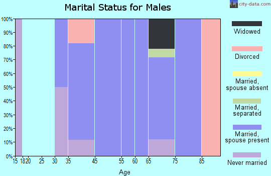 Star Valley Ranch marital status for males
