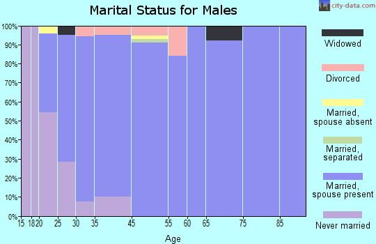 Lake View marital status for males