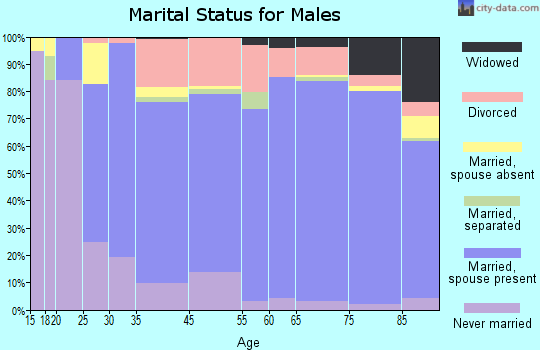 Sun City marital status for males