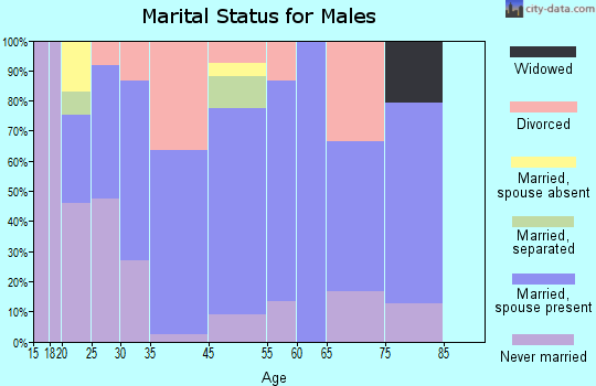 Taft Heights marital status for males
