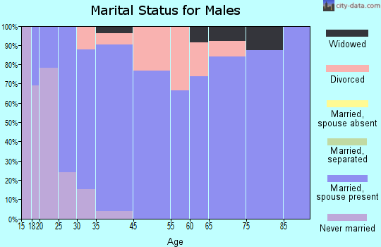 Leesburg marital status for males