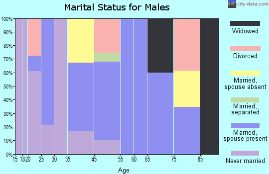 Talmage marital status for males