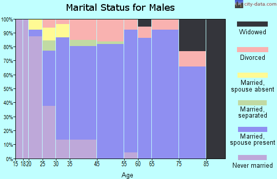 Tierra Buena marital status for males