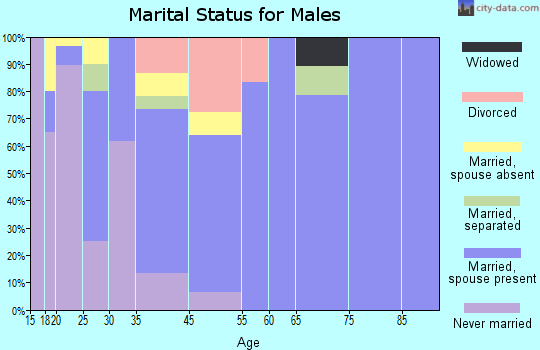 Traver marital status for males