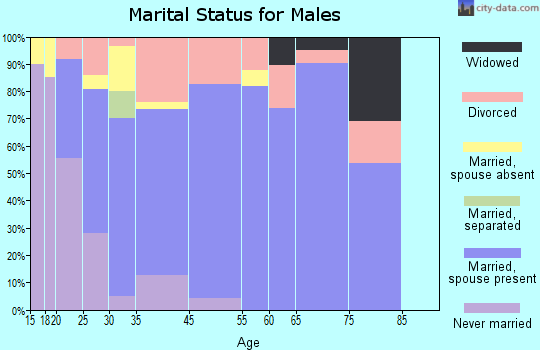Level Plains marital status for males