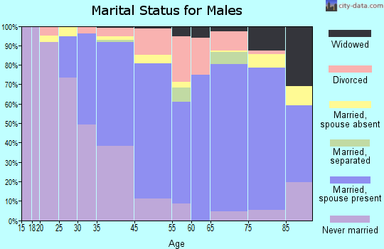View Park-Windsor Hills marital status for males