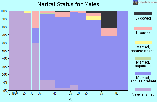 Villa Park marital status for males