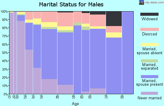 Vincent marital status for males