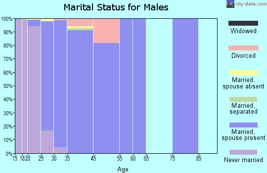 Air Force Academy marital status for males