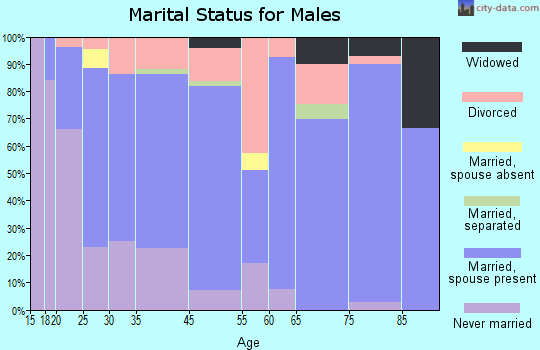 Akron marital status for males