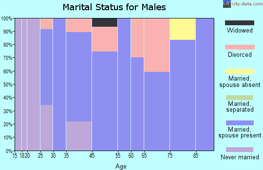 Alamosa East marital status for males