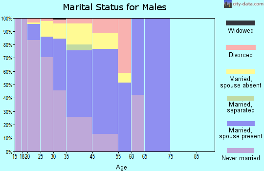 Avon marital status for males