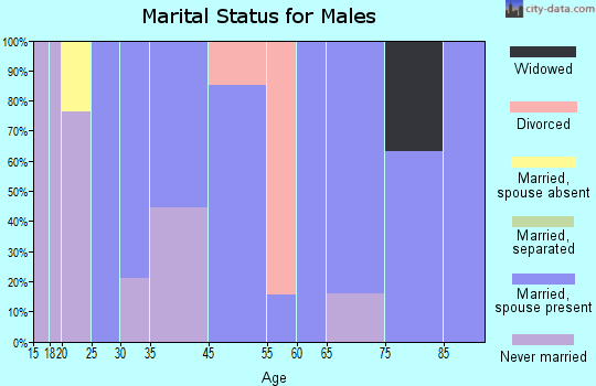Avondale marital status for males