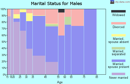 Basalt marital status for males