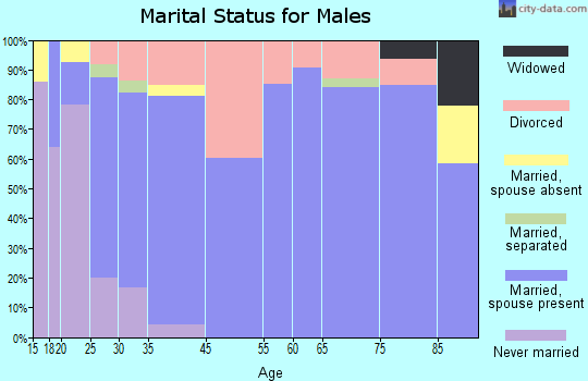 Battlement Mesa marital status for males