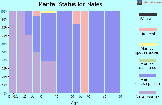 Blue River marital status for males