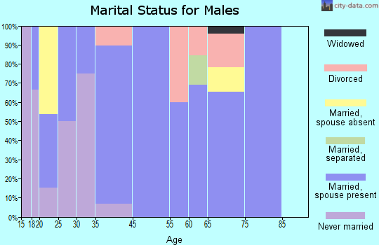 Boone marital status for males