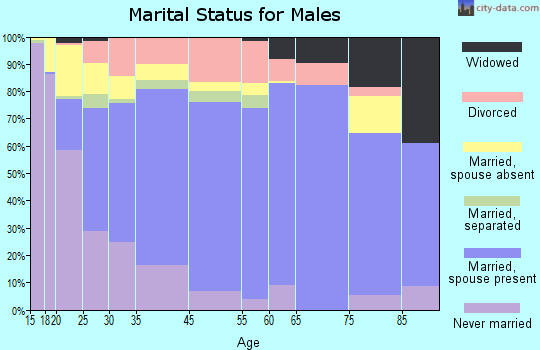 Brighton marital status for males