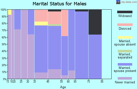 Cascade-Chipita Park marital status for males