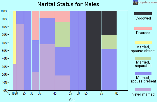 McDonald Chapel marital status for males