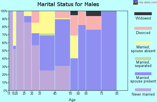 Dillon marital status for males