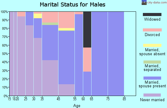 Eagle-Vail marital status for males