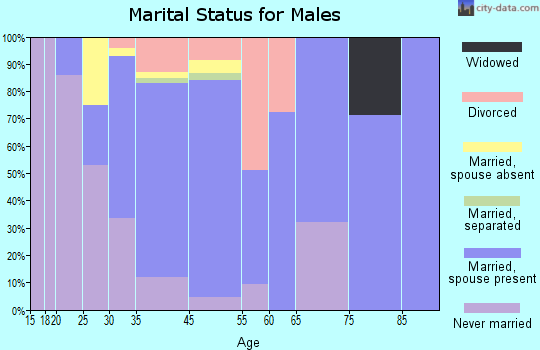 El Jebel marital status for males