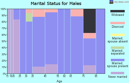 Flagler marital status for males