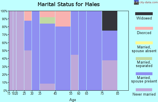 Fort Garland marital status for males