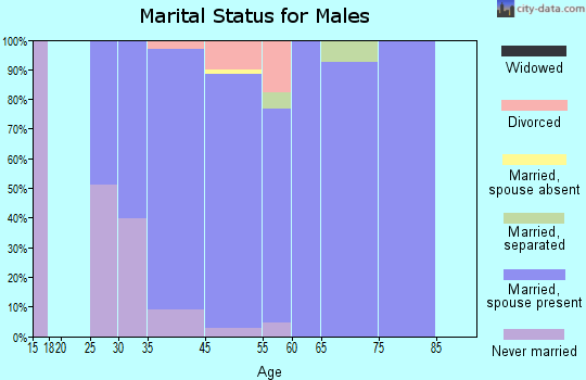 Genesee marital status for males