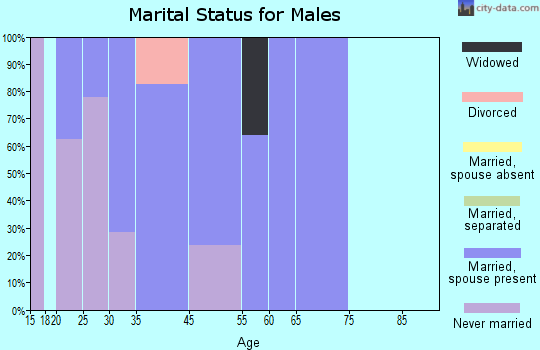 Madrid marital status for males