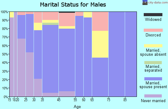 Gypsum marital status for males