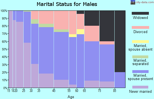 Idaho Springs marital status for males