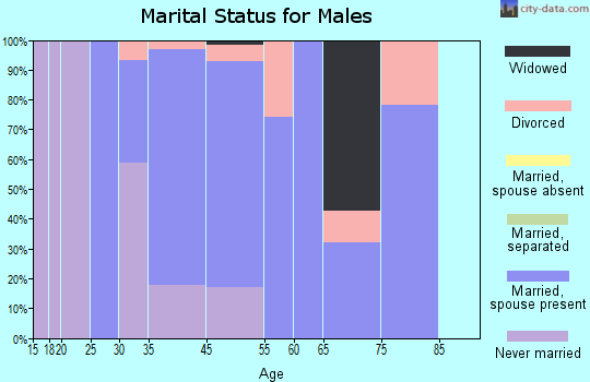 Indian Hills marital status for males