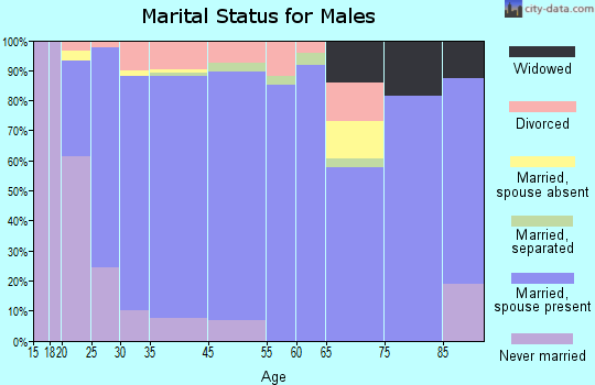 Johnstown marital status for males