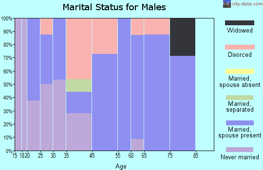 Lake City marital status for males
