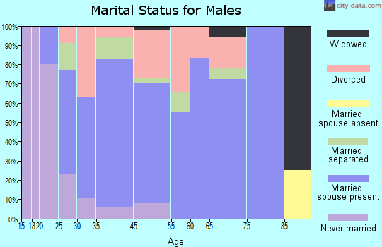 La Veta marital status for males