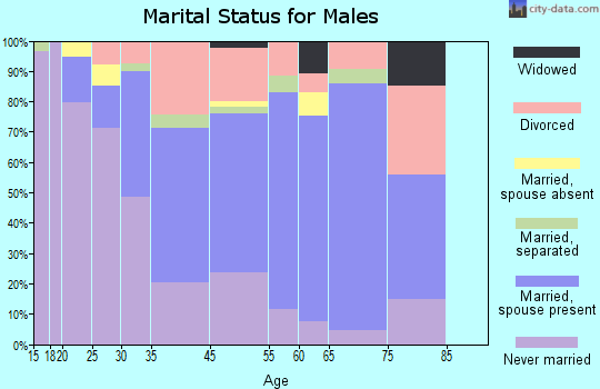 Leadville marital status for males