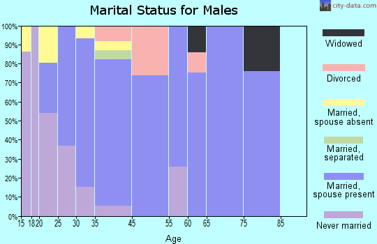 Leadville North marital status for males