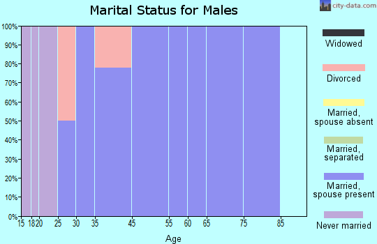Loghill Village marital status for males