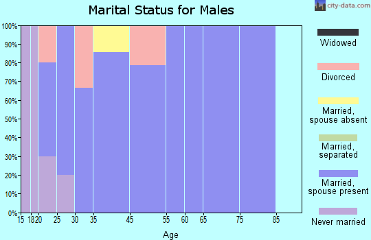 Merino marital status for males