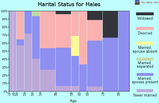 Mountain View marital status for males