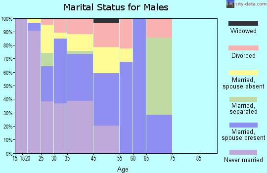 Mountain Village marital status for males