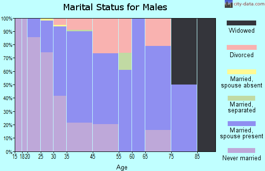 Nederland marital status for males